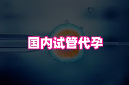 江苏助孕网 1