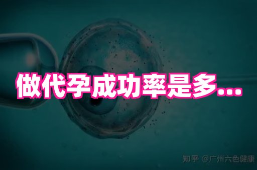 江苏助孕网 4